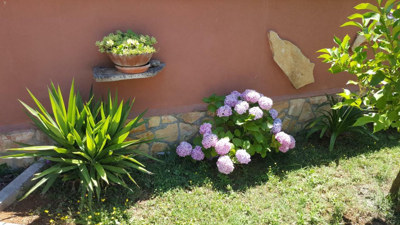 Rooms Katarina Kadumi Exterior foto
